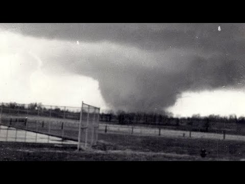 Crime - Yeat X Gzuz, Ufo361, Trettman, Gringo VISUALISER