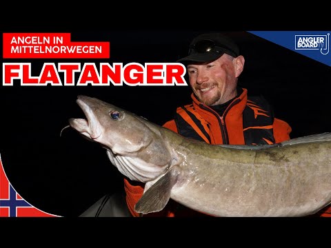 Fishing in Norway: DREAM AREA FLATANGER