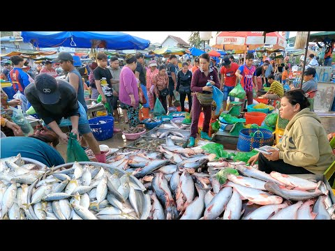 Vendors Popular Wholesale Fish Market - Amazing Site Distribution Fish & Seafood|Fish Market Scenes