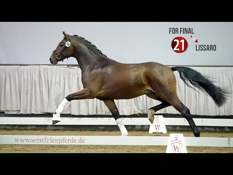 Westf. Hauptkörung Reitpferdehengste 2020: 21 For Final - Lissaro - Davignon I