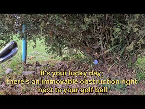 Golf Rules Simplified - Sorry you do not get Free Relief