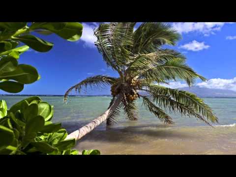 Ridgewalkers ft. El - Find