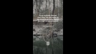 Psaumes 40:4-7 Confiance en l'Éternel plutôt qu'en les orgueilleux #labible #BibleVision