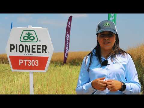 Testimonial rapita PT303 - Cristina Ghetu, Promotor Corteva