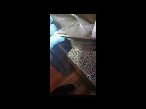 Indian Meal Moths Infest Pantry in Long Branch, NJ