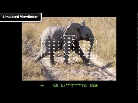 Canon EOS 5D Mark III - Tutorial AF Area Selection 1/14