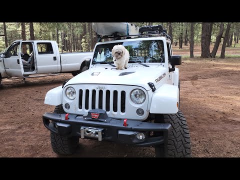 2016 Jeep Wrangler Dorman 604-029 HVAC Blend Door Actuator (Passenger side clicking/popping.)
