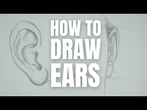 How to draw ears - update