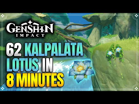 Kalpalata Lotus Locations | Fast and Efficient Route | Nahida Ascension Materials |【Genshin Impact】