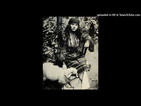 Persa Nikolova so Čalgiite - Oj, ti bre pile, ti slavej pile