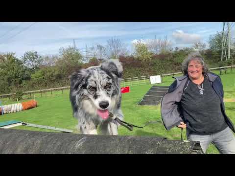 Oktober 2020: Erziehung, Sozialisierung und 'n Menge Spaß