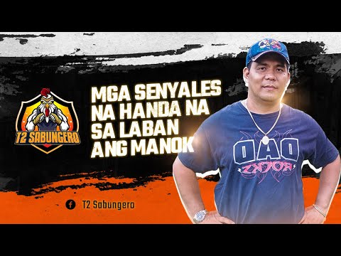 MGA SENYALES NA HANDA NA SA LABAN ANG MANOK   |   T2SABUNGERO
