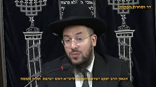 חושן משפט הלכות הלוואה יט' הגאון הרב יעקב ישראל הכהן שליט"א ראש ישיבת תורה לשמה (דר וסוחרת - הלוויין של מרן) - התמונה מוצגת ישירות מתוך אתר האינטרנט יוטיוב. זכויות היוצרים בתמונה שייכות ליוצרה. קישור קרדיט למקור התוכן נמצא בתוך דף הסרטון