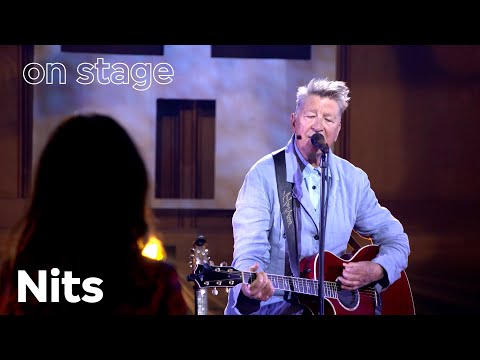 Nits - In the Dutch Mountains | VPRO ON STAGE