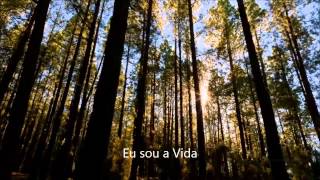 Grey Holiday - You belong to Me legendado