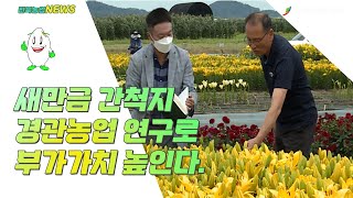 2022 07 11 새만금 간척지 경관농업 연구로 부가가치 높인다