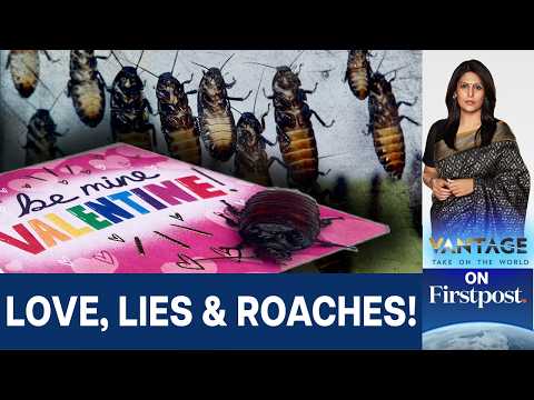Name a Cockroach after your Ex: The Business of Valentine’s Breakups | Vantage with Palki Sharma
