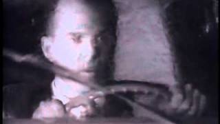 Alex Wexo Speed Reel video