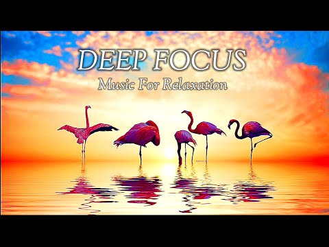Stunning Pink Water Birds - Flamingo | Relaxation Music, Calming, Chilld Music