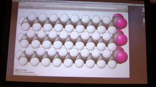 30.  Kevin Ahern's Biochemistry - Lipids, Membranes, and Membrane Transport