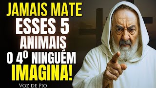 🔴 PADRE PIO ADVERTE: OS 5 ANIMAIS QUE O CATÓLICO NÃO DEVE MATAR! SE VOCÊ JÁ FEZ, CUIDADO!