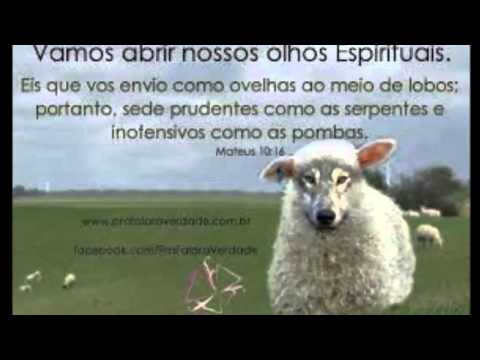 Evangelho do dia 12/07/2013