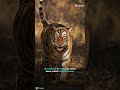 The Deadly Queens Of Ranthambore Machli Arrowhead Riddhi Siddhi Tripoto
