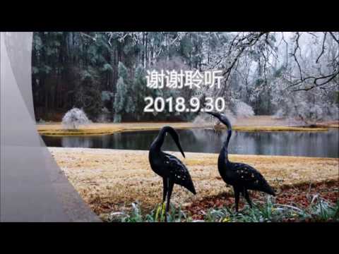 What She Is Doing Now video