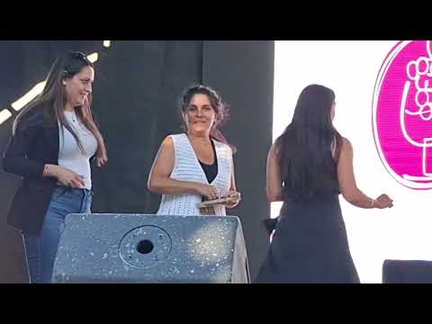 Fiesta Provincial de la Vendimia - Colalao  #colalaodelvalle #tucuman #turismo #vino #vendimia