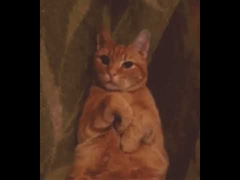 if you love cats like and subscribe