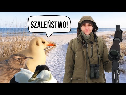 Co dzieje się na Helu zimą?