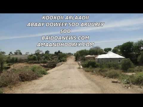 KOOXDII ARLAADI - ABAAY DOWEEY SOO ARUUREY