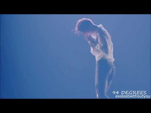 Exo. Fall in Kai