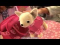 Игрушечные собачки Chi Chi LOVE - Чи Чи Лав (Simba) 