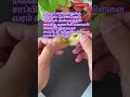 Creativeflowers Flowers Flowercraft Art Tamil Trending Motivation Playlist Famousshorts