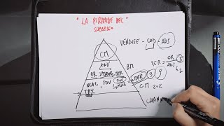 La Piramide del successo E-commerce