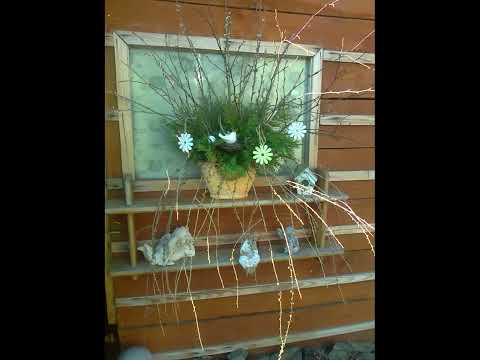 Kráľovná nebeská 339