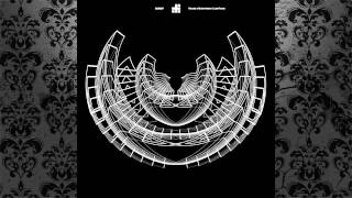 Luis Flores - Discipline (Original Mix) [BLANK CODE]