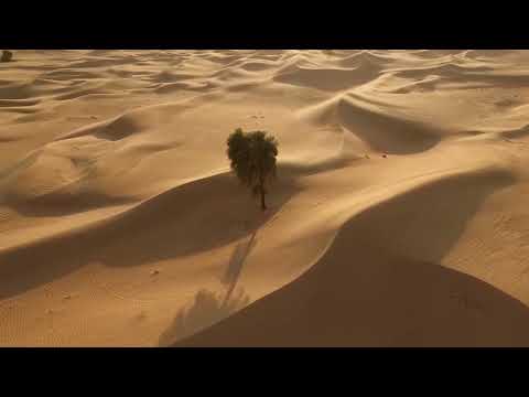 Barbara Tarozzi & Massimo Tagliata "TU" Evergreen.