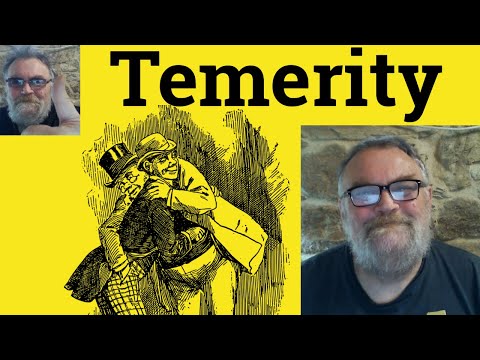 😎 Temerity Meaning - Temerity Defined - Temerity Examples - Temerity Definition - Temerity