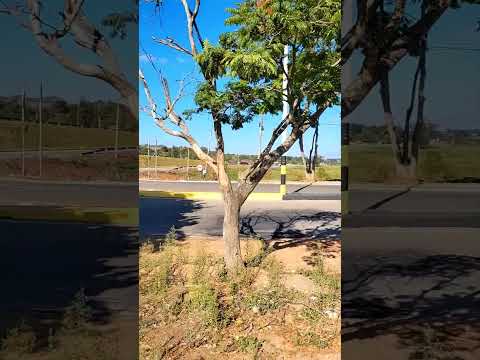 São Gonçalo do Sapucaí-MG