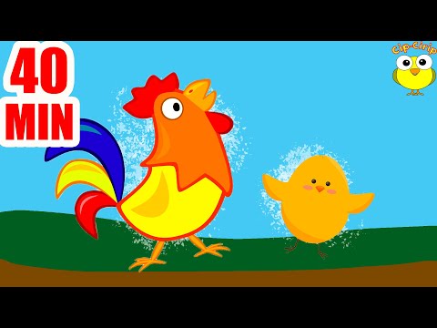 Cocoselul canta vesel prin gradina - Cantece pentru copii (desene animate) | Cip-Cirip