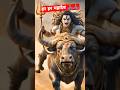 Mahadev On Nandi A Glimpse Of Divine Energy Mahadev ShivaOnNandi DevotionalVideo Shorts Nandi