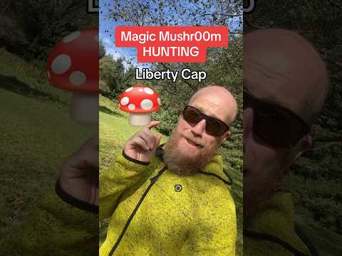Finding MAGIC MUSHROOMS