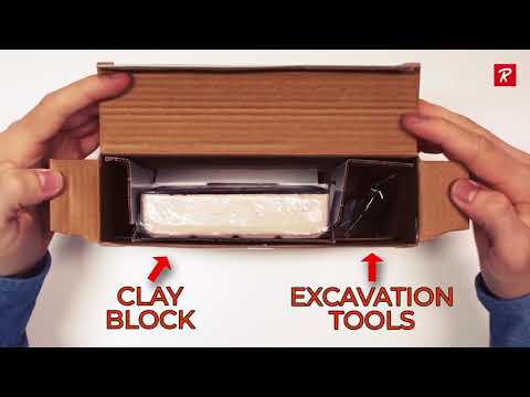 Unboxing Paleontology Kit - ENG