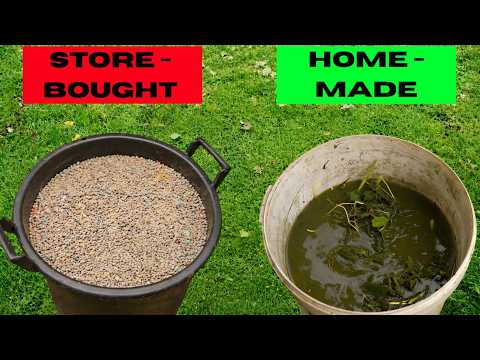 The Homemade Fertilizer That Outperforms Store-Bought Products (Real Results)