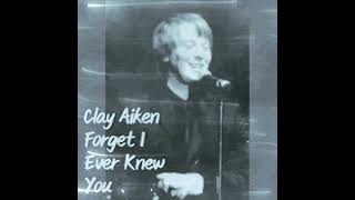 Forget I Ever Knew You