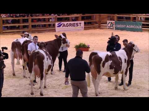 Voir la vidéo : Replay - CONCOURS MONTBELIARDE Lundi 26 fevrier