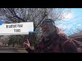 Riding the Natchez Trace on my 2007 Dyna Street Bob: 60 Miles of Bridges & Peace of Mind