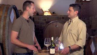 Specogna: La Degustazione del Sauvignon Blanc Duality